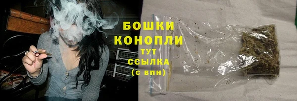 крисы Володарск
