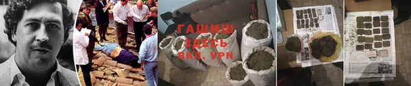 сатива Волоколамск